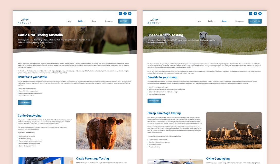 XytoVet Service Pages